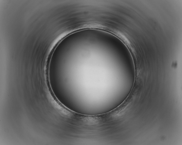 X0000090920947200707301530
