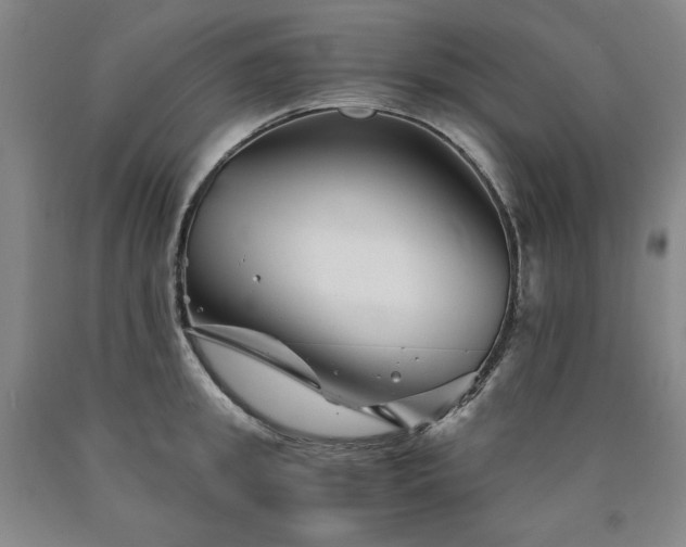 X0000090920949200707301530