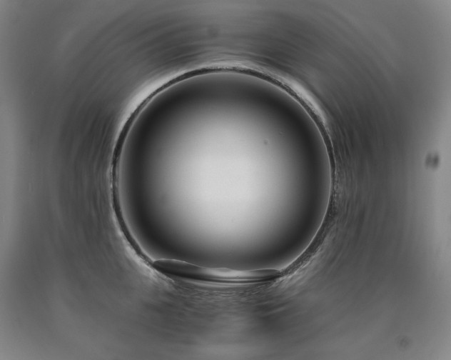 X0000090920951200707301530