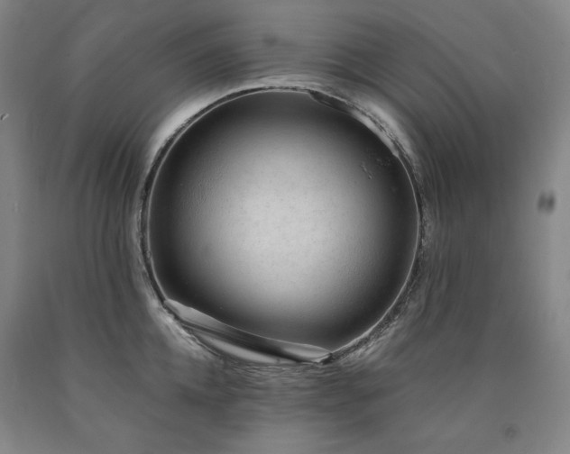 X0000090920952200707301530