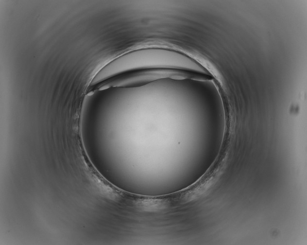 X0000090920953200707301530
