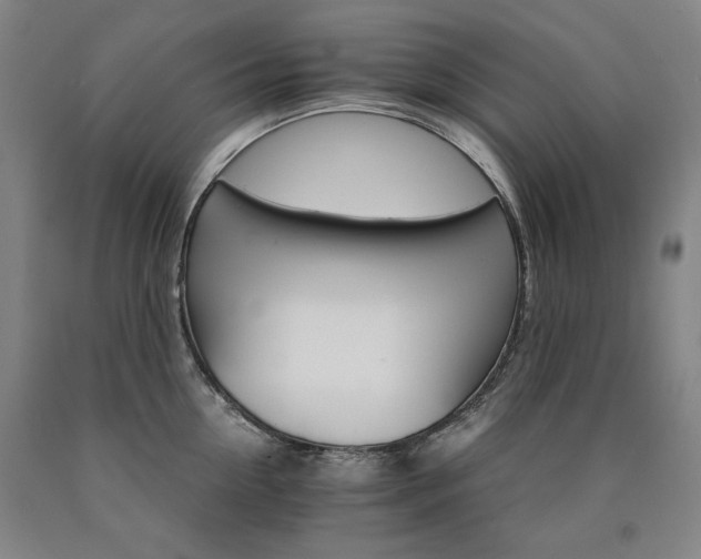 X0000090920954200707301530