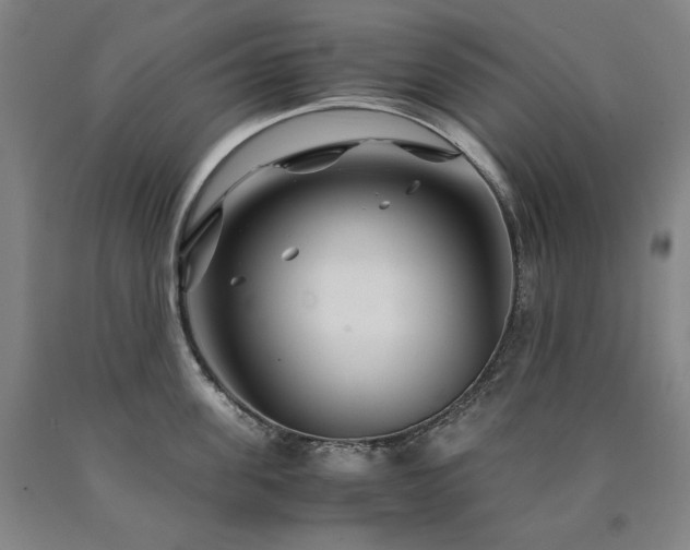X0000090920955200707301530