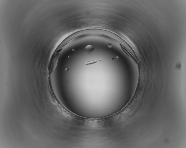 X0000090920956200707301530