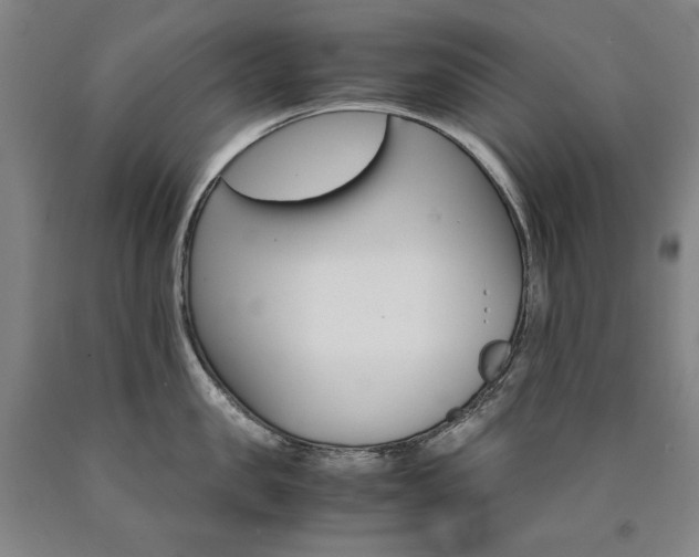 X0000090920957200707301530
