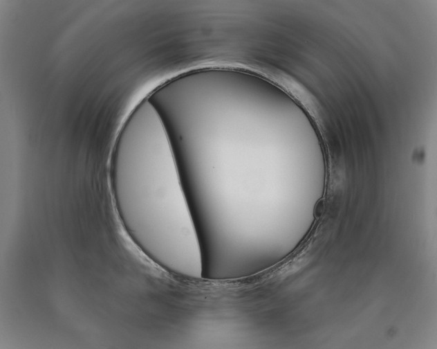 X0000090920958200707301530