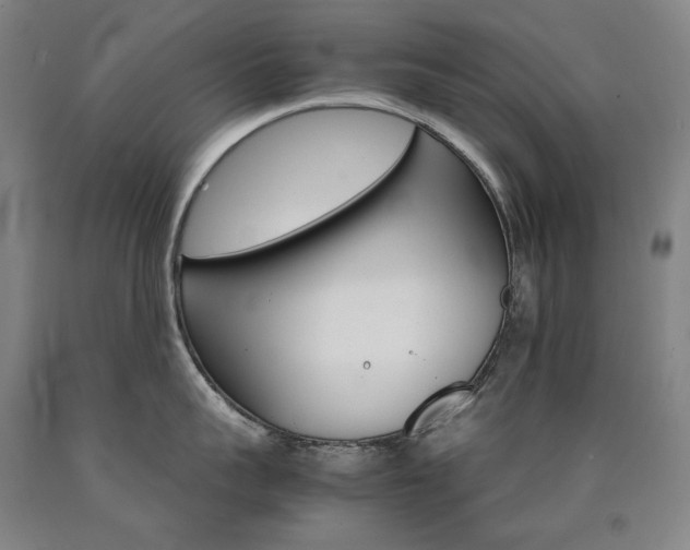 X0000090920959200707301530