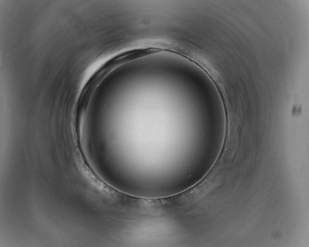 X0000090920960200707301530