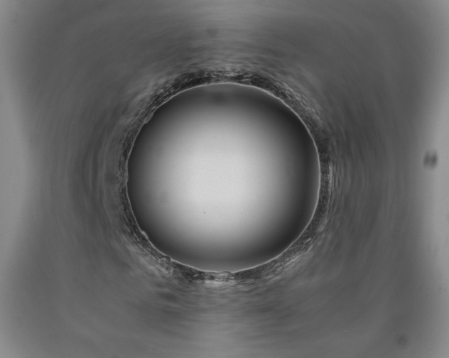 X0000090920961200707301530