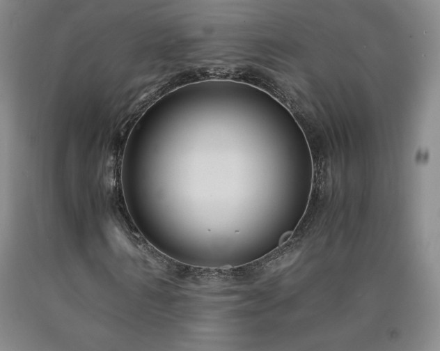 X0000090920962200707301530