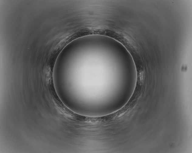 X0000090920963200707301530