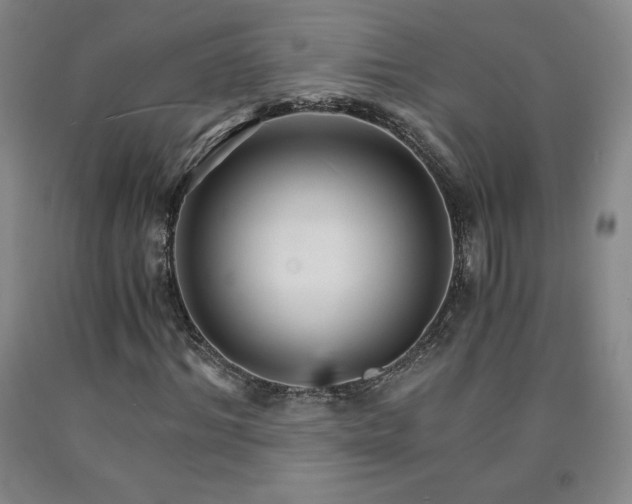 X0000090920964200707301530