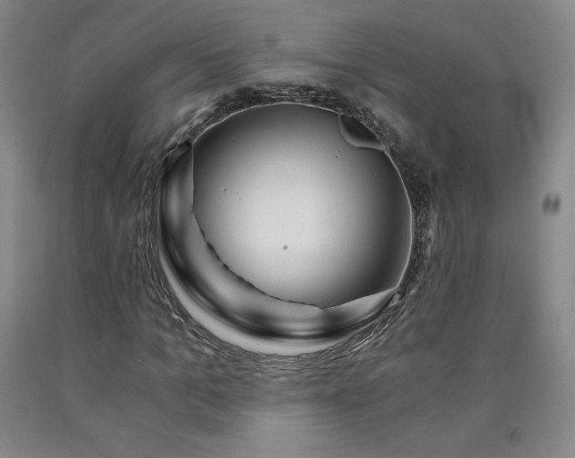 X0000090920965200707301530