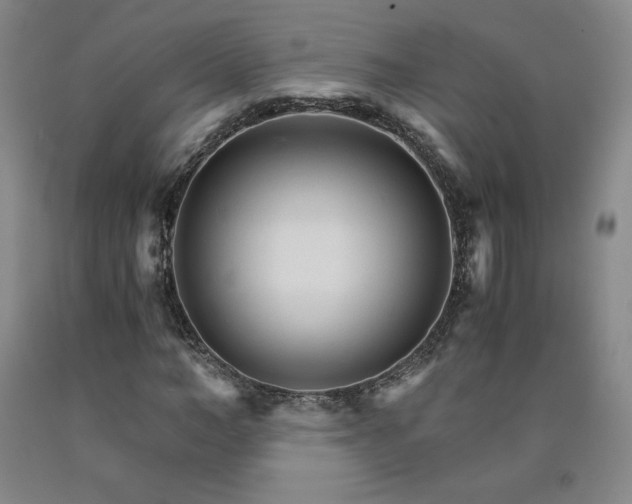 X0000090920966200707301530