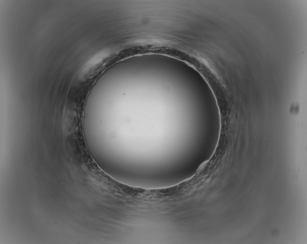 X0000090920967200707301530