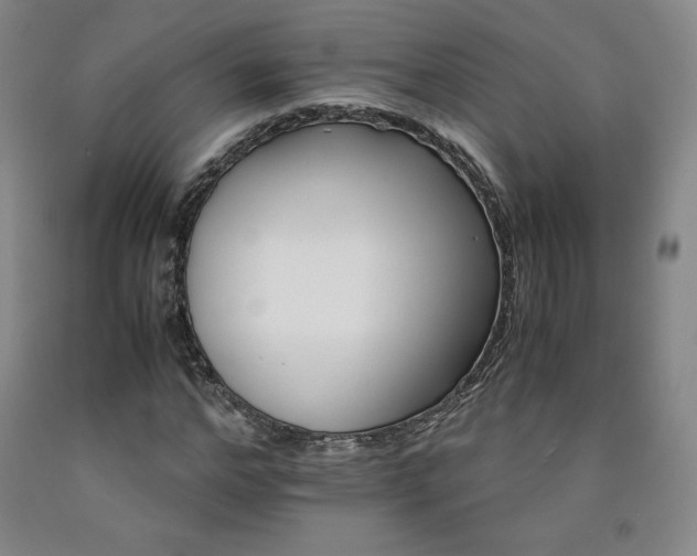 X0000090920968200707301530