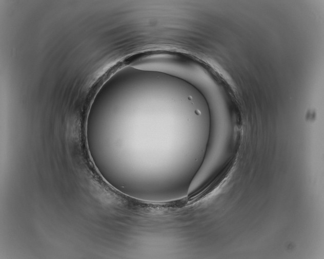 X0000090920969200707301530