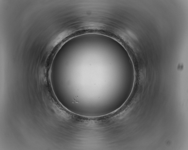 X0000090920970200707301530