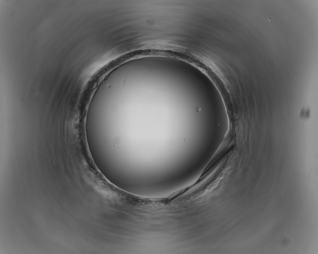 X0000090920971200707301530