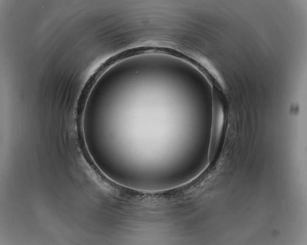X0000090920972200707301530