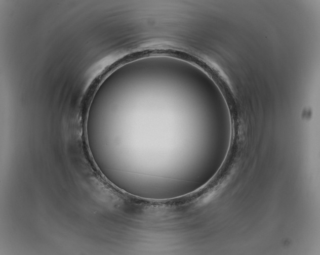 X0000090920973200707301530