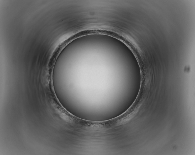 X0000090920974200707301529
