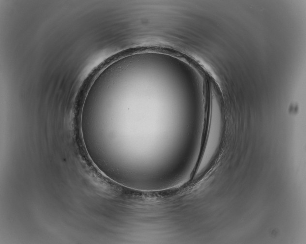 X0000090920975200707301529