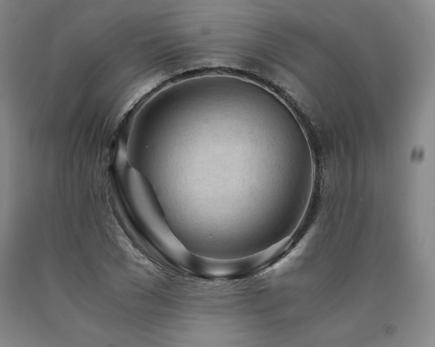 X0000090920977200707301529