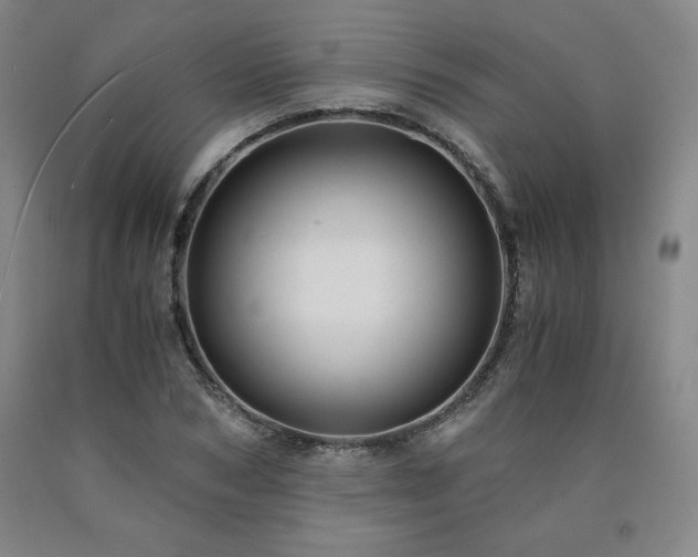 X0000090920978200707301529