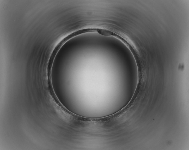 X0000090920980200707301529
