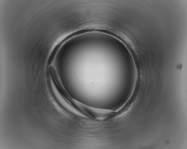 X0000090920981200707301529