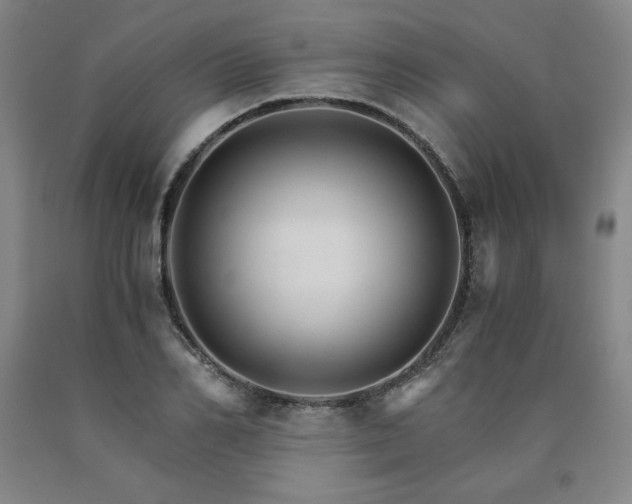 X0000090920982200707301529
