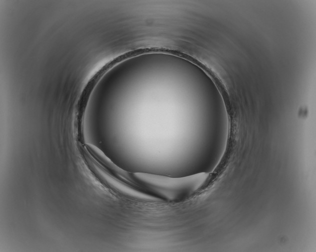 X0000090920983200707301529