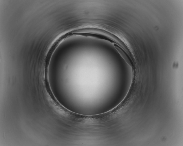 X0000090920984200707301529