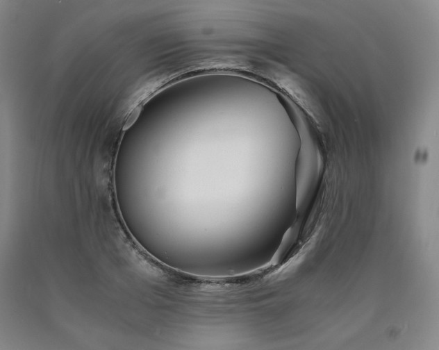 X0000090920985200707301529
