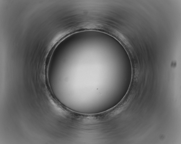 X0000090920986200707301529