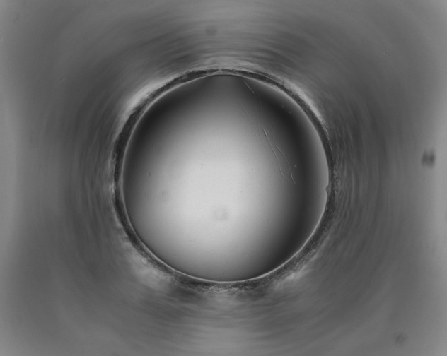 X0000090920987200707301529