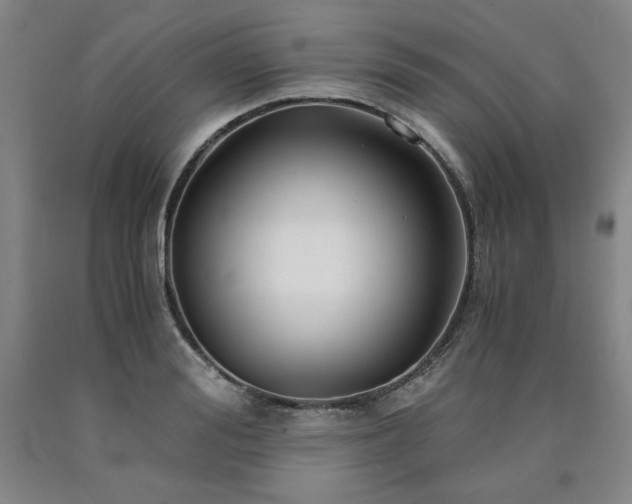 X0000090920988200707301529