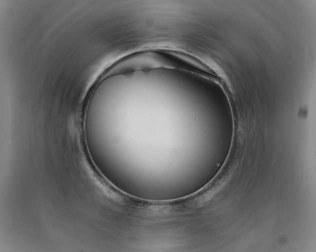 X0000090920989200707301529