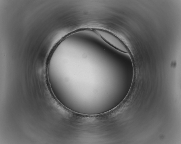 X0000090920990200707301529