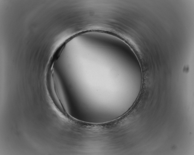 X0000090920991200707301529