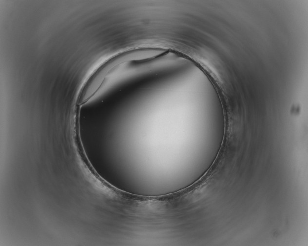 X0000090920992200707301529