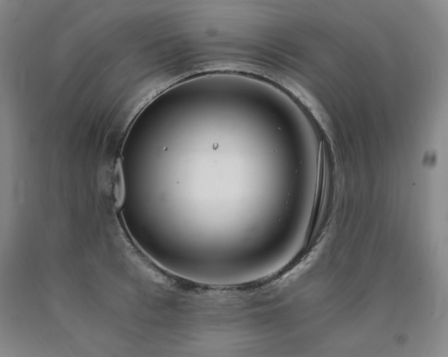 X0000090920993200707301529