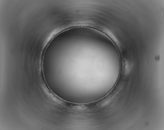 X0000090920994200707301529