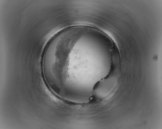 X0000090920995200707301529