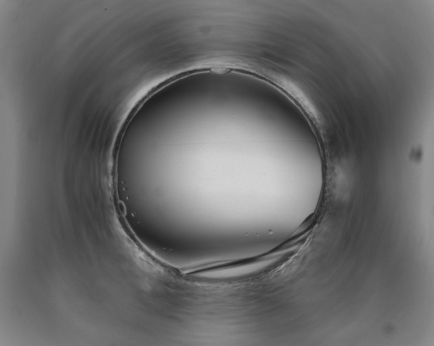 X0000090920996200707301529