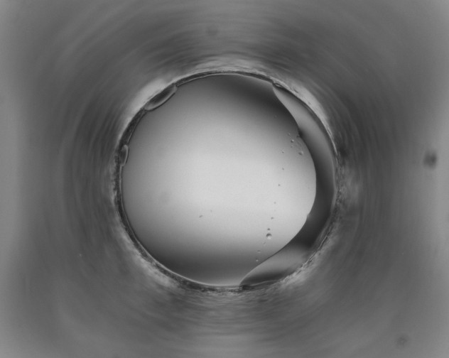 X0000090920997200707301529