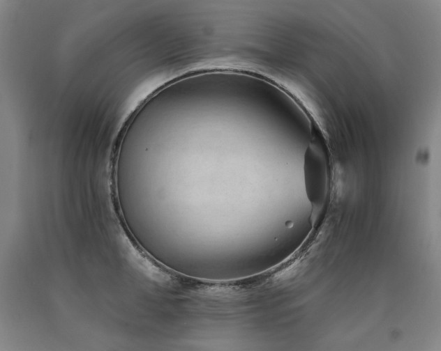 X0000090920998200707301529