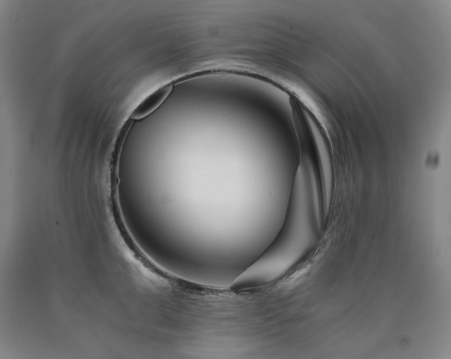 X0000090920999200707301529