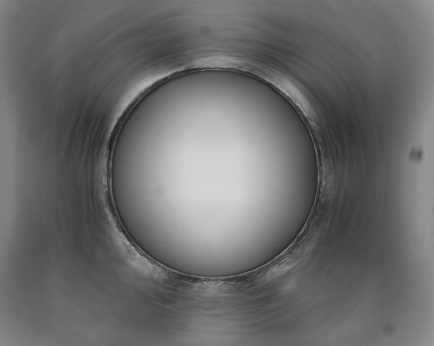 X0000090921000200707301529